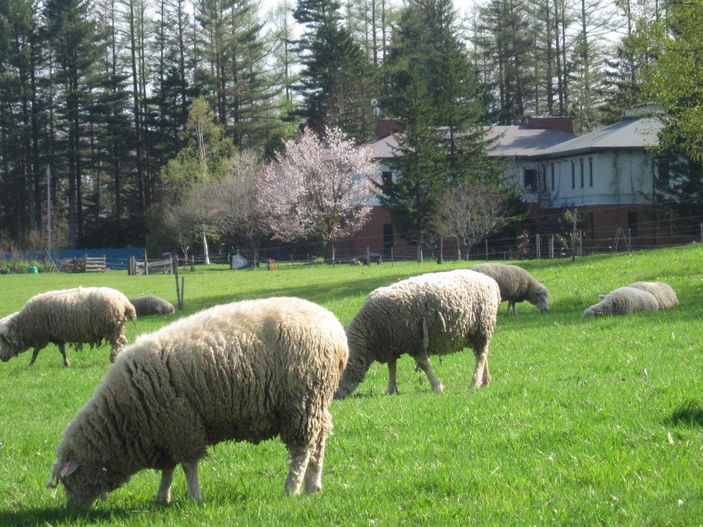 Yorkshire Farm Villa Sintoku Kültér fotó