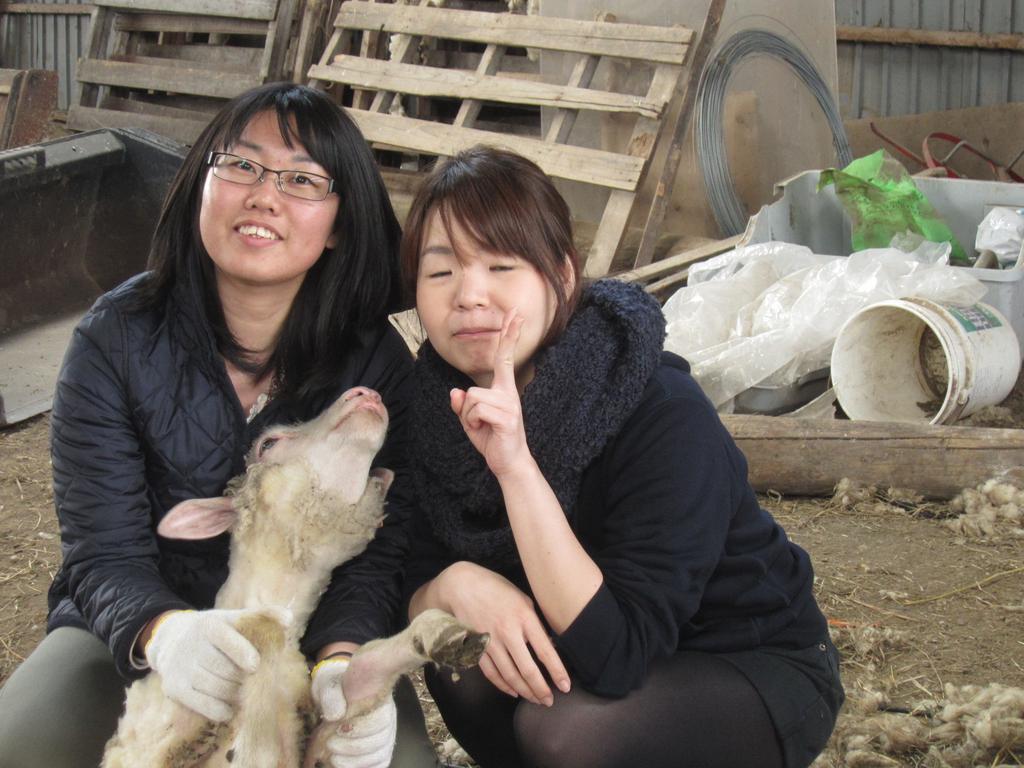 Yorkshire Farm Villa Sintoku Kültér fotó