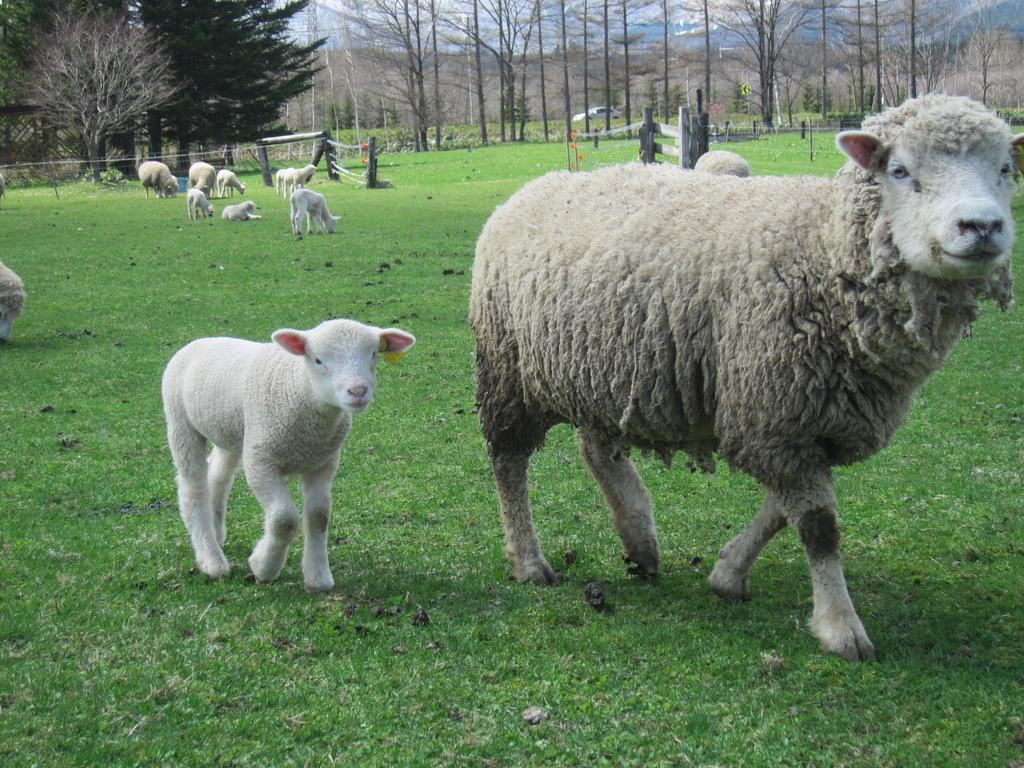 Yorkshire Farm Villa Sintoku Kültér fotó